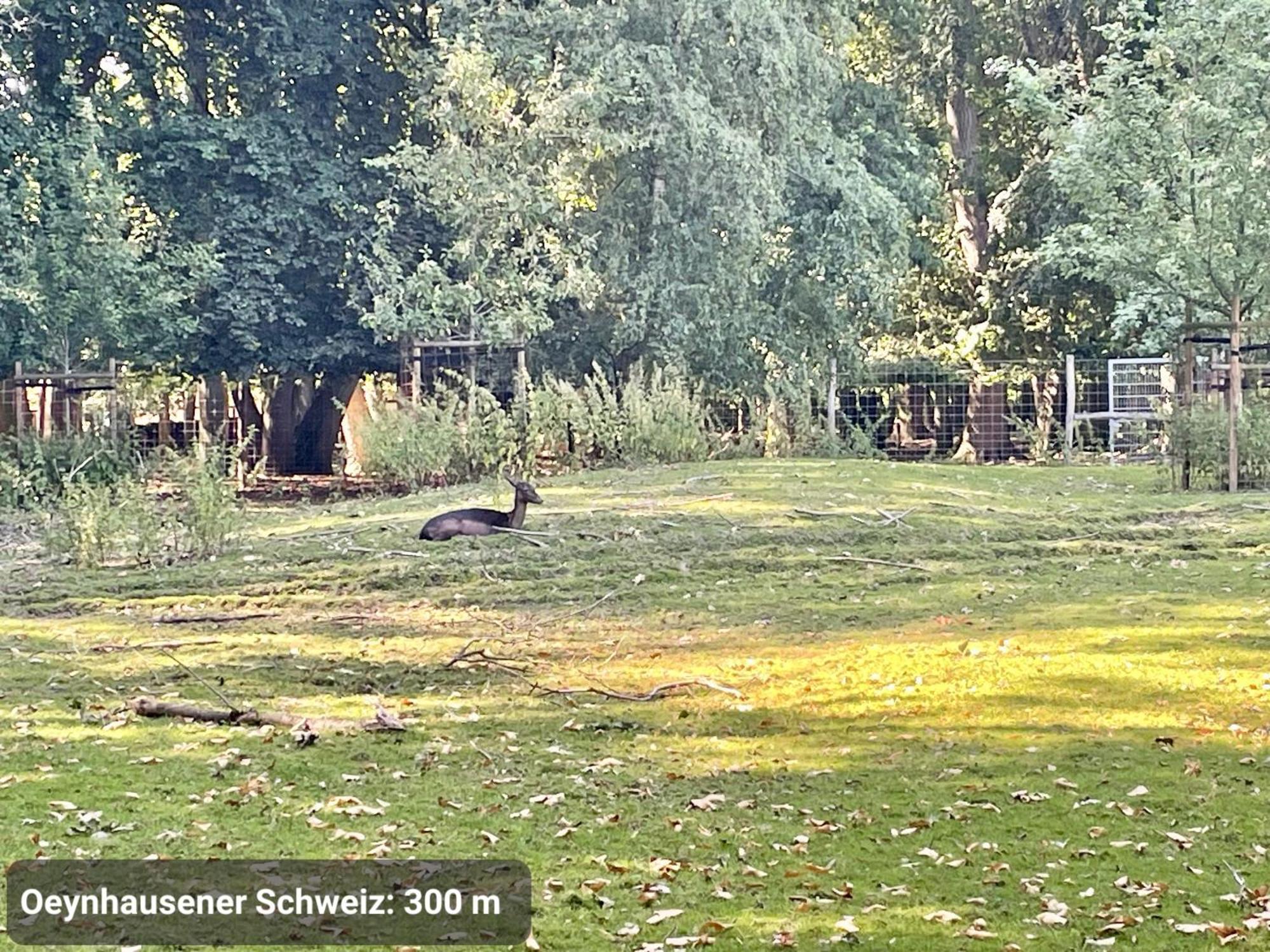 Studio3 Zentral Und Ruhig Mit Parkplatz, 5 Min Z Bali-T Und Gop, Boxspringbett Bad Oeynhausen Extérieur photo
